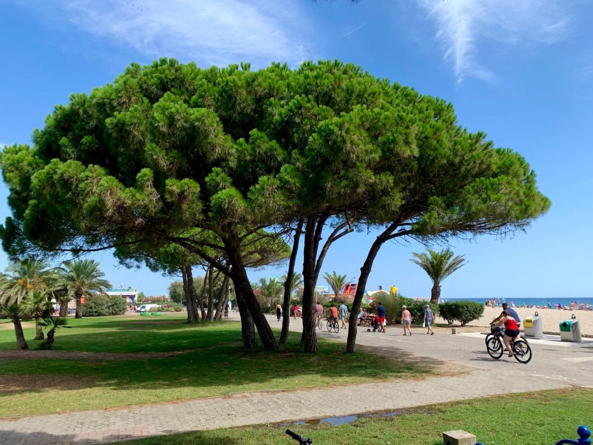 Superbe Appartement Neuf Entre Mer Et Pins Wifi Argelès-sur-Mer Exteriör bild