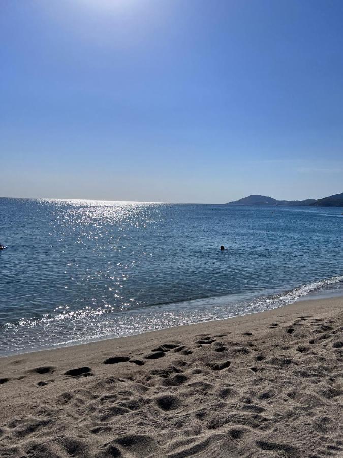 Superbe Appartement Neuf Entre Mer Et Pins Wifi Argelès-sur-Mer Exteriör bild
