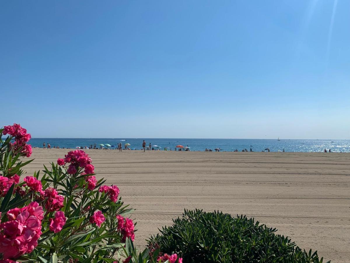 Superbe Appartement Neuf Entre Mer Et Pins Wifi Argelès-sur-Mer Exteriör bild